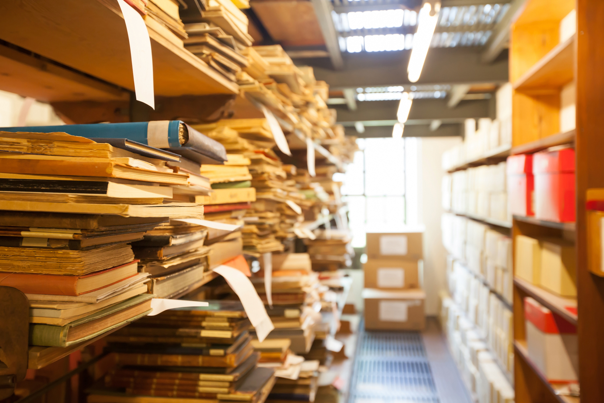 Archive Shelving